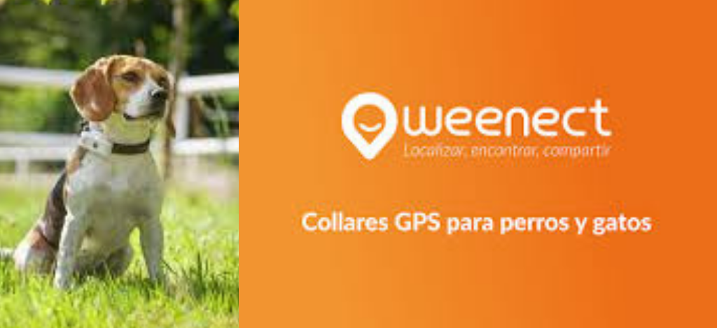 localizador-GPS-para-perros-Weenect-Dogs-2